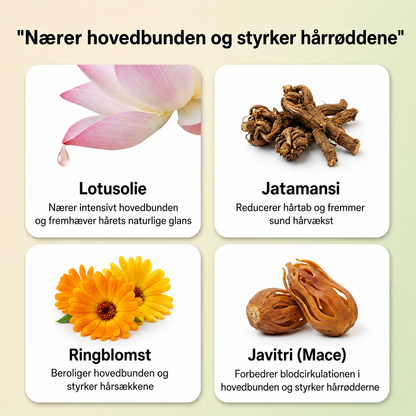 Ayurvedisk hårserumolie med 11 urter til stærkere hår, tæmmet krus og strålende glans
